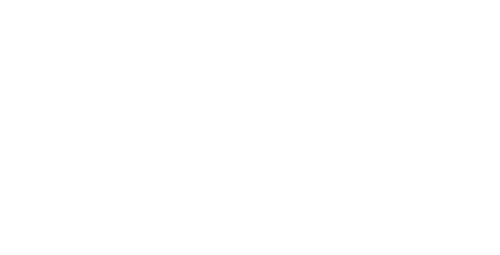 New Media Law