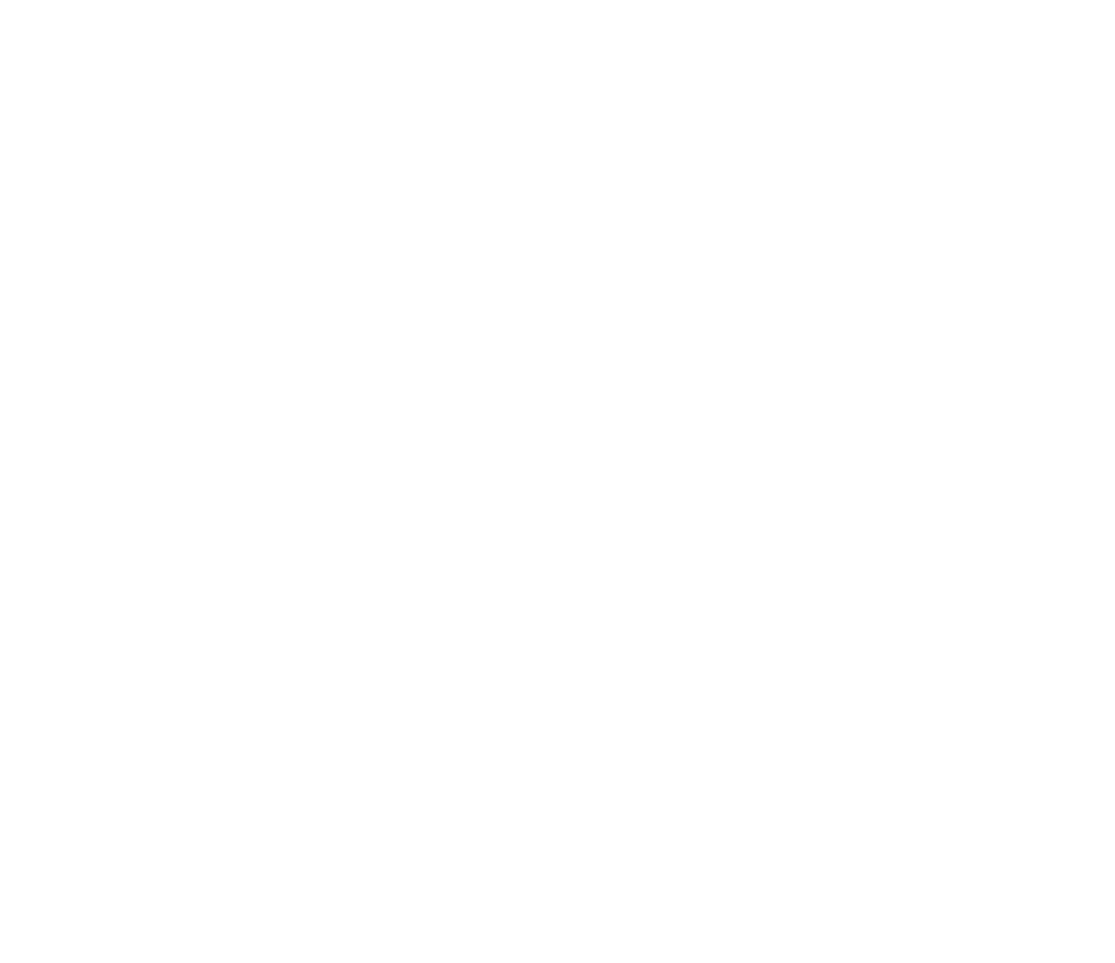 San Francisco Toys